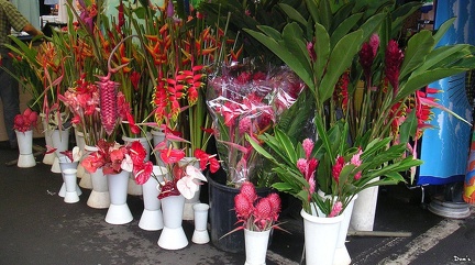 082 - Fleurs de La Réunion, au marché de St-Paul