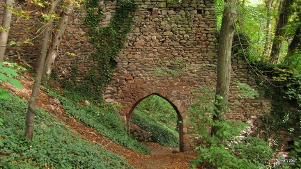 17 - Sentier vers le château de St Ulrich