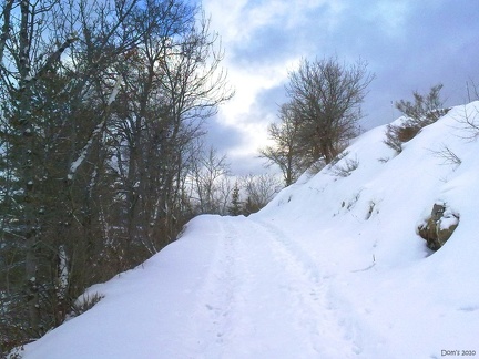 11 - Sentier sous la neige à St Jean Montclar