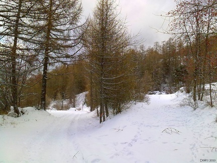 12 - Sentier sous la neige à St Jean Montclar
