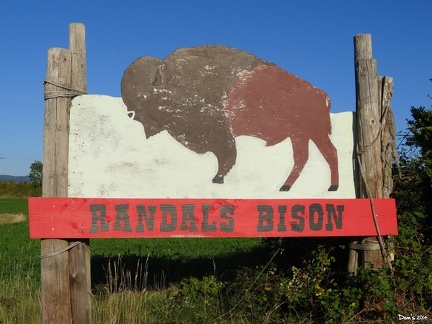 039 - Randals Bison