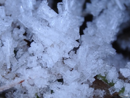17 - cristaux de glace au bord du sentier