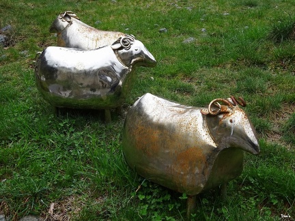 28 - Moutons métalliques