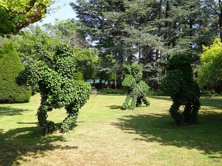 45 - Le jardin de la propriété Perrier