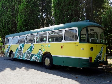 46 - Un autobus vintage
