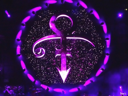 11 - Hommage à Prince - Purple Rain