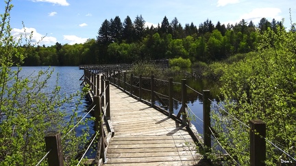 15 - La passerelle d'observation du lac des Settons