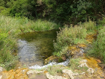 23 - Les gorges du Verdus