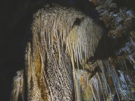 67 - La grotte de Clamouse (la méduse)