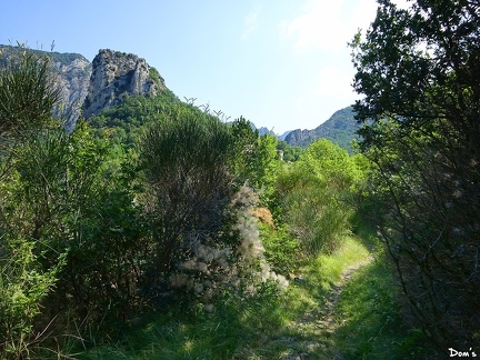 09 - Sentier à Saoû