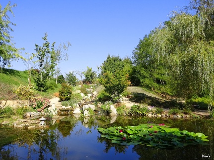 35 - Les jardins d'eau à Carsac