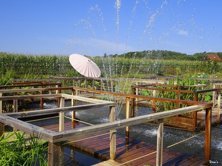 36 - Les jardins d'eau à Carsac