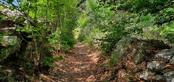 22 - Sentier à Saint-Jean-Montclar