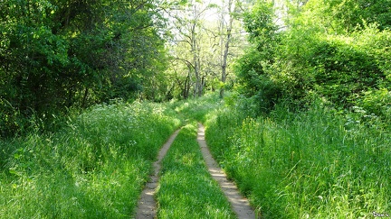 08 - Un sentier à Labeaume