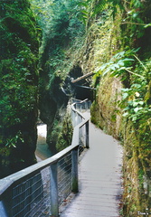 04 - pyrenees - les gorges de kakouetta