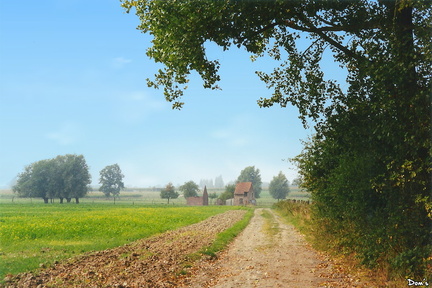 12 - nord - le bois de bachy