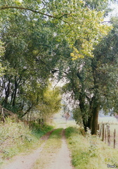 13 - nord - le bois de bachy