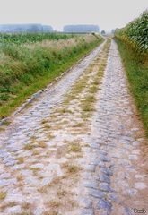 14 - nord - des paves a bachy