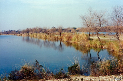 20 - sollac fos - la foulee dacier 1997