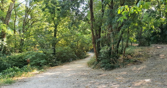 03 - Sentier vers le parc de La Gaillère
