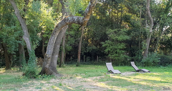 07 - Le parc de La Gaillère