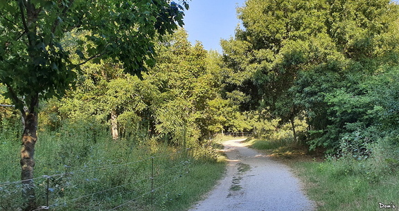 10 - Sentier vers le parc de La Gaillère