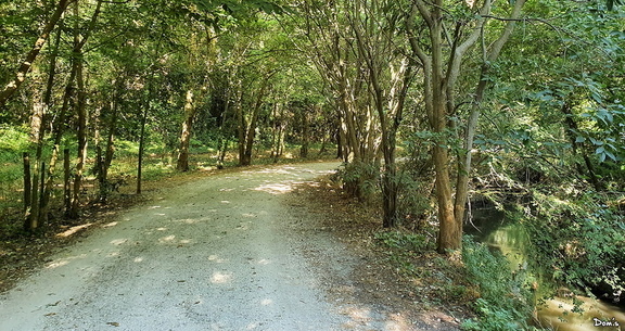 13 - Sentier vers le parc de La Gaillère