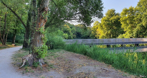 20 - La fontaine Mary-Rose