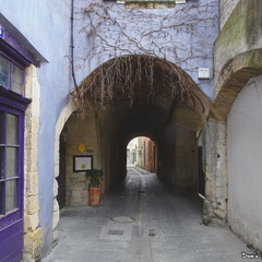 21 - L'Isle-sur-la-Sorgue