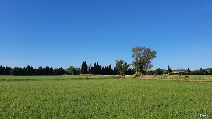 01 - La campagne de Grans