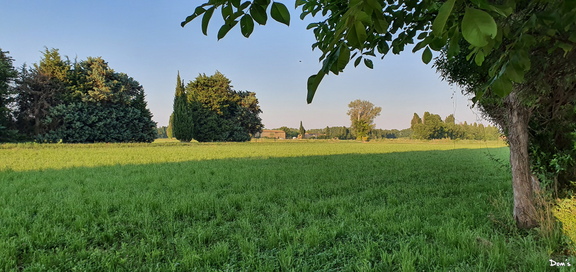 02 - La campagne de Grans