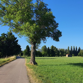 Grans à vélo