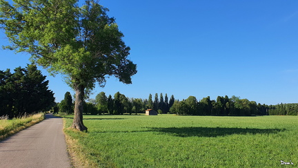 03 - Petite route dans la campagne de Grans