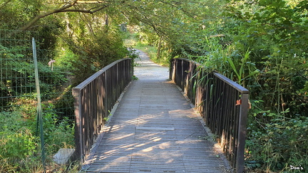 06 - Le sentier de la Gaillère