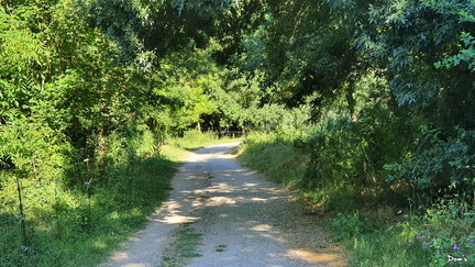 07 - Le sentier de la Gaillère