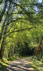 08 - Le sentier de la Gaillère