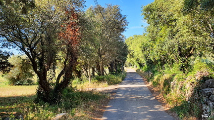 10 - Petite route dans la campagne de Grans