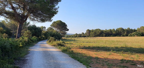 11 - Sentier damé