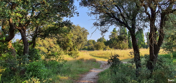 13 - Sentier bucolique