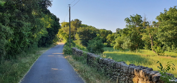 16 - Petite route à Grans