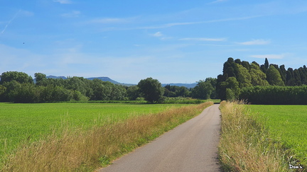 19 - Petite route dans la campagne de Grans