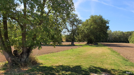 20 - La campagne de Grans
