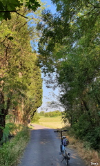 21 - Petite route à Grans
